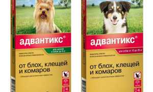 Капли Адвантикс для собак от блох