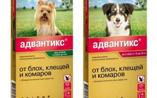 Капли Адвантикс для собак от блох