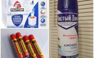 Чем морить клопов в домашних условиях