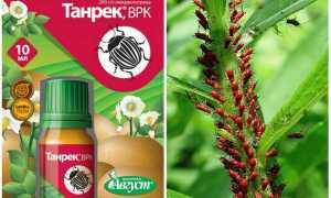 Средство Танрек от тли и белокрылки
