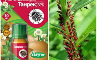 Средство Танрек от тли и белокрылки