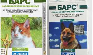 Капли Барс для кошек и собак от блох и клещей
