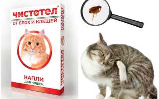 Капли Чистотел от клещей и блох для кошек