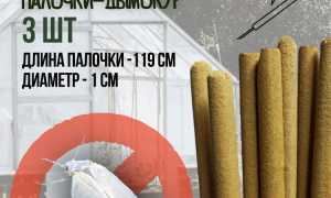 Как предотвратить появление насекомых в оранжерее: практическое руководство