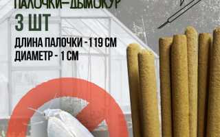 Как предотвратить появление насекомых в оранжерее: практическое руководство
