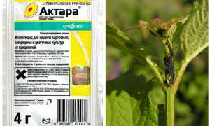 Актара против тли