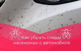 Дезинфекция от насекомых в автомобиле: Как сохранить чистоту и здоровье