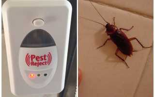 Ультразвуковой отпугиватель Pest Reject от тараканов