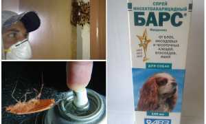 Средство Барс от тараканов