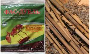 Фас Дубль от муравьев
