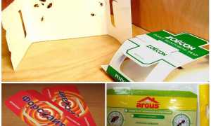 Ловушки для тараканов