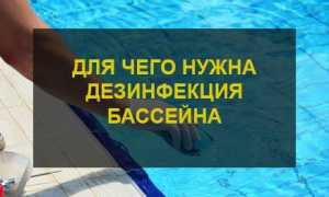 Как эффективно провести дезинфекцию бассейна от насекомых: советы и рекомендации