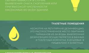 Как эффективно провести дезинфекцию сада от насекомых: все, что нужно знать