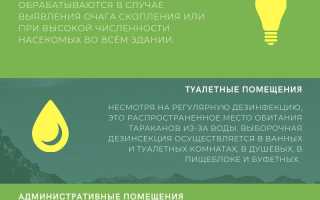 Как эффективно провести дезинфекцию сада от насекомых: все, что нужно знать