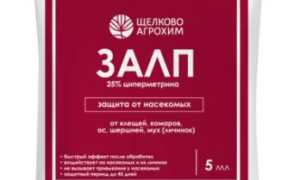 10 эффективных способов избавиться от насекомых в гараже