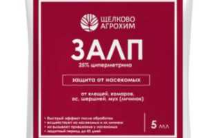10 эффективных способов избавиться от насекомых в гараже