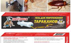 Средства Дохлокс от тараканов