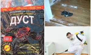 Дусты от тараканов