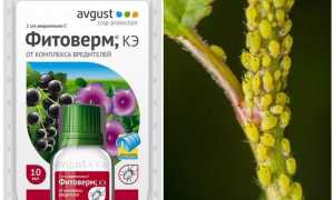 Фитоверм от тли