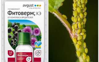 Фитоверм от тли