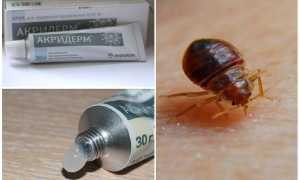 Чем намазаться, чтобы не кусали клопы