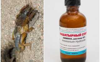 Нашатырный спирт от медведки