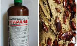 Средство Таран от тараканов