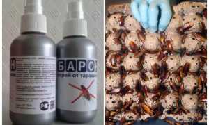 Средство Барон от тараканов