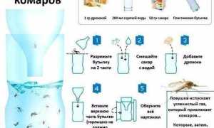 Эффективная дезинфекция сада: как избавиться от насекомых с умом