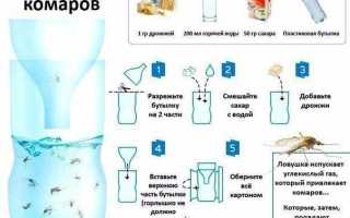 Эффективная дезинфекция сада: как избавиться от насекомых с умом