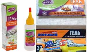 Прошка Домовой гель от тараканов