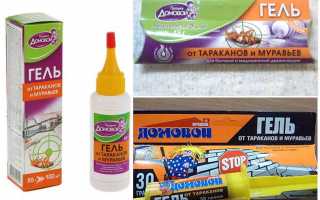 Прошка Домовой гель от тараканов