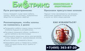Как обеспечить чистоту и комфорт: Дезинфекция от насекомых в детской комнате
