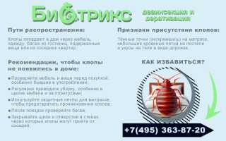 Как обеспечить чистоту и комфорт: Дезинфекция от насекомых в детской комнате