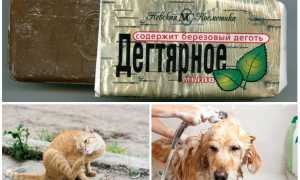 Дегтярное мыло от блох у кошек и собак
