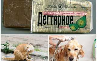 Дегтярное мыло от блох у кошек и собак