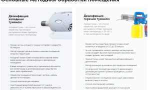 Как защитить свою оранжерею: дезинфекция от насекомых и их последствия