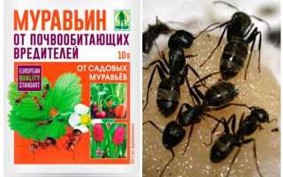 Муравьин от почвообитающих вредителей, инструкция по применению
