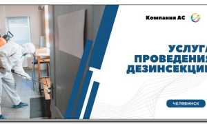 Ценообразование на услуги по уничтожению тараканов в квартире: полное руководство