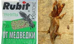Рубит Рофатокс гранулы от медведки и проволочника