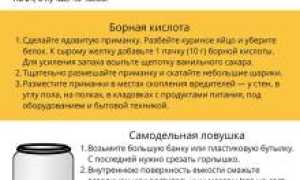 Как избавиться от тараканов в доме: Полное руководство для эффективной борьбы