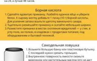 Как избавиться от тараканов в доме: Полное руководство для эффективной борьбы