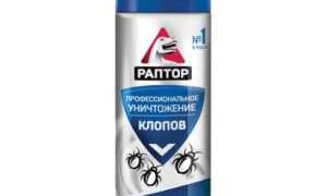 Средство Раптор от клопов