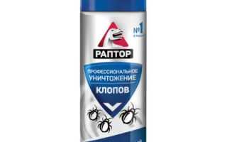 Средство Раптор от клопов