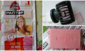Раптор от мух
