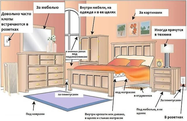 mesta-skopleniya-klopov