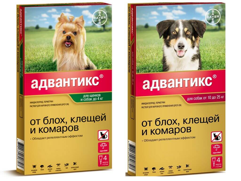 Капли Адвантикс для собак от блох