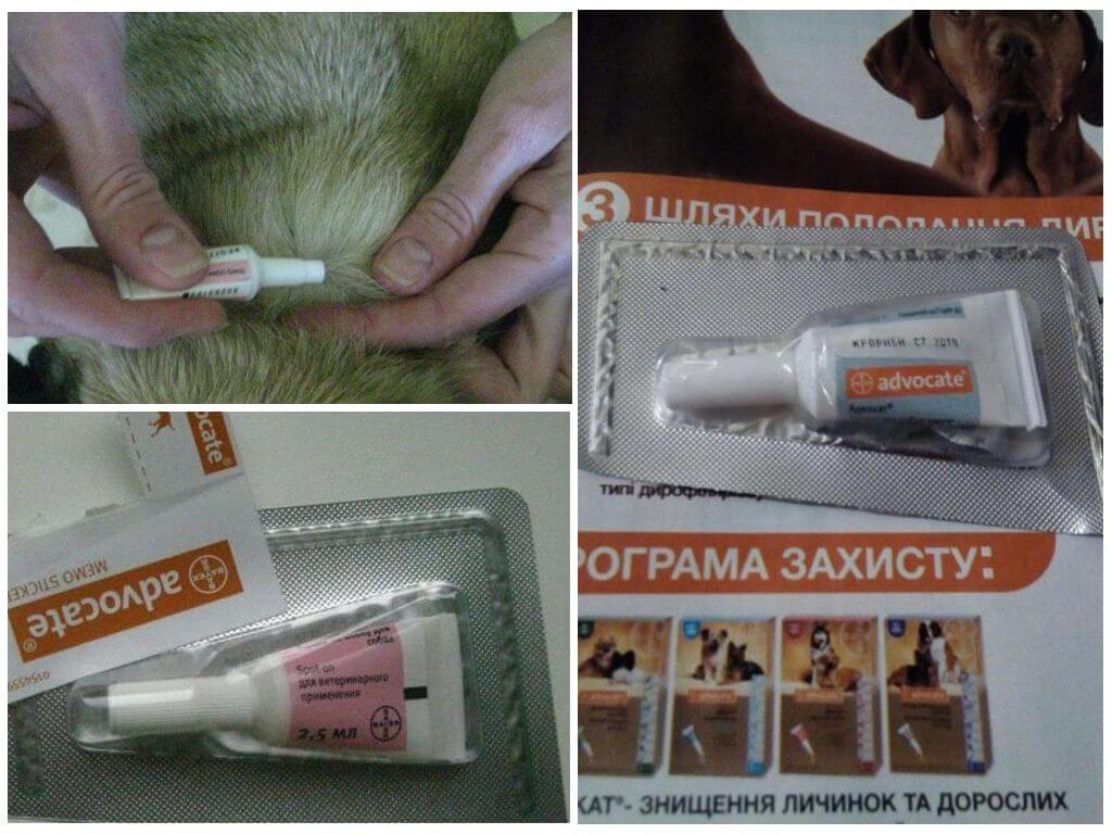 Капли Адвокат для собак