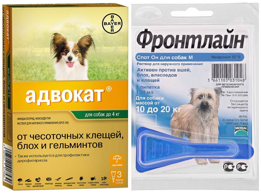 Капли для собак от паразитов