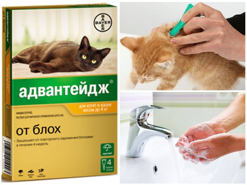 Меры безопасности при обработке животного